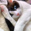 thumbnail_F975DA25-2533-4195-AB63-1BE0CDFC9F6B