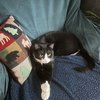 thumbnail_IMG_6724