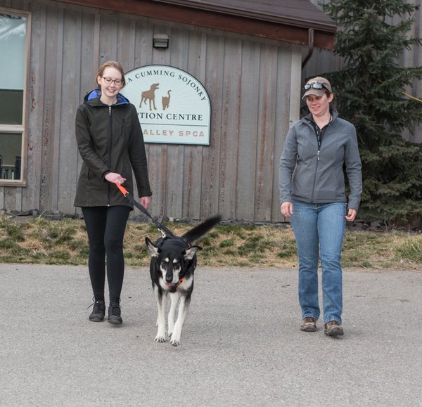 BVSPCA Volunteers